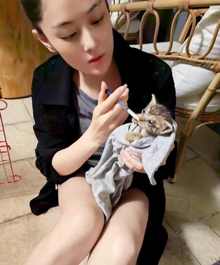 这就是爱屋及乌吧！何捷宅家撸猫、还不介意小猫上床，难怪张馨予那么爱他！好温暖的