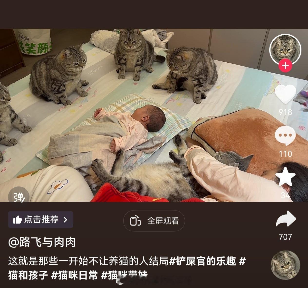 一人睡觉，5个花臂纹身保镖围着