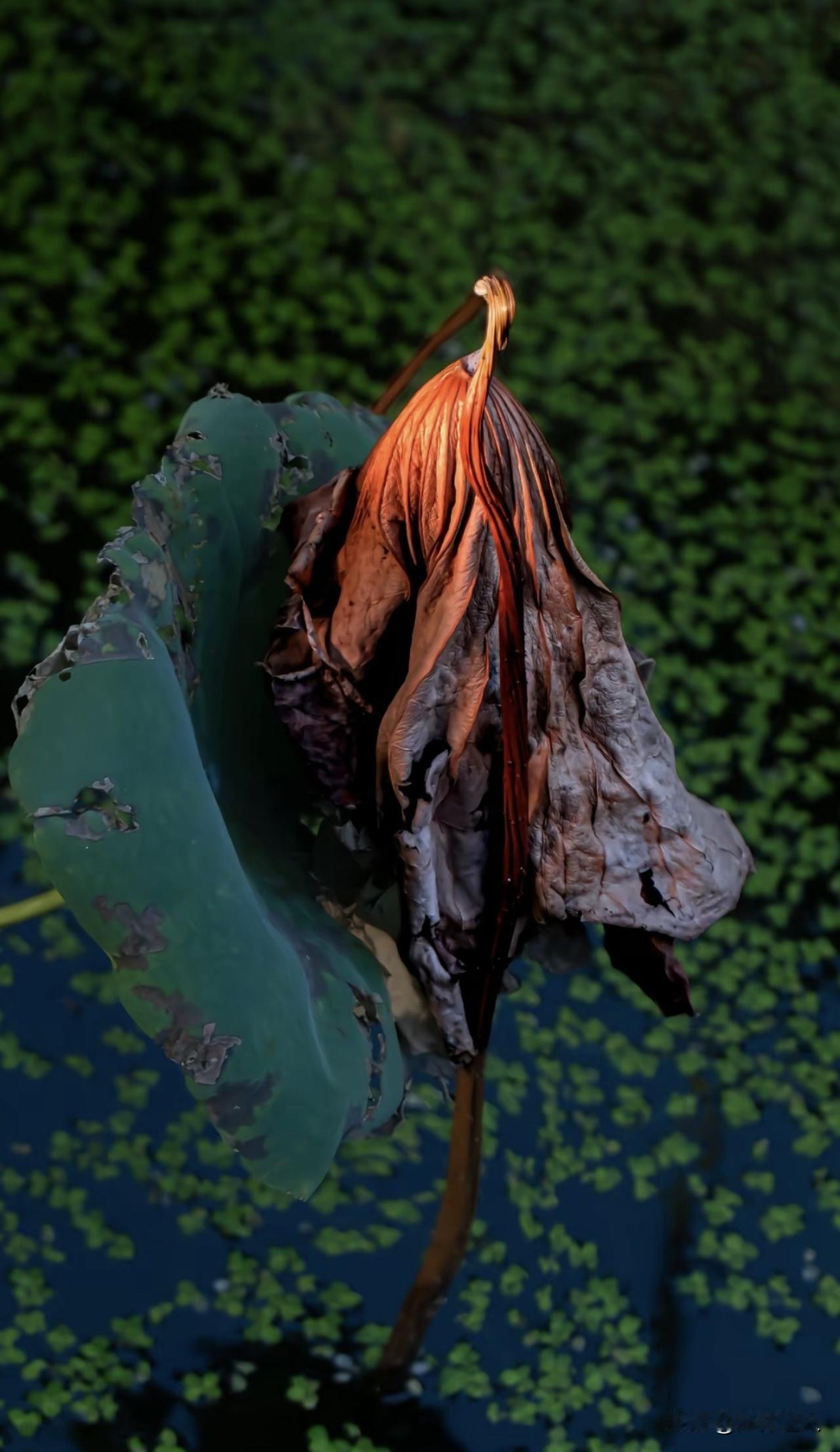 新思维：我穷，但我不傻。穷是我目前的处境，而傻是骨子里的糊涂。好多穷人只