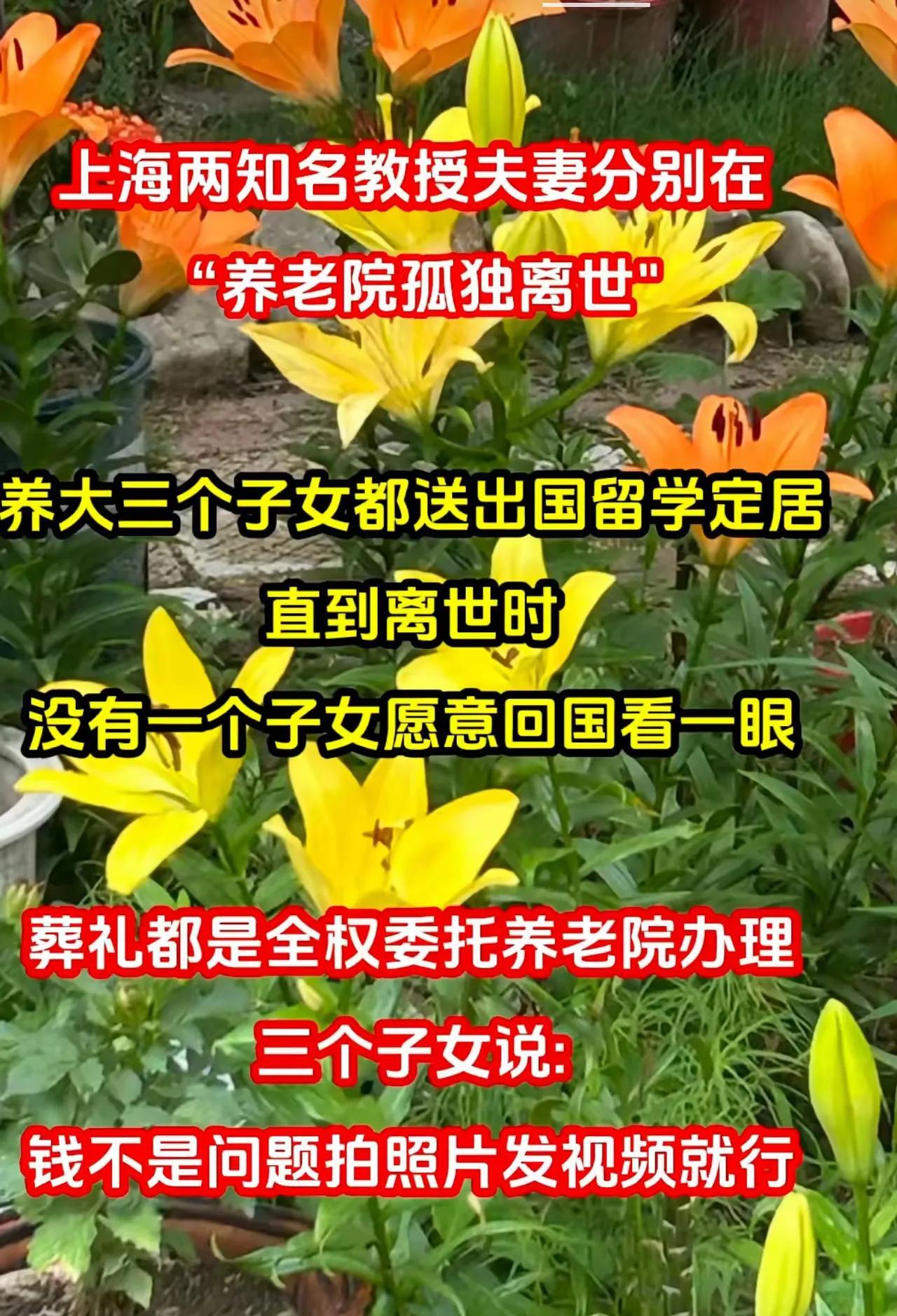 唉……悲哀啊有出息了为啥要送去外国呢长时间在国外耳濡目染在西方文化的熏染下