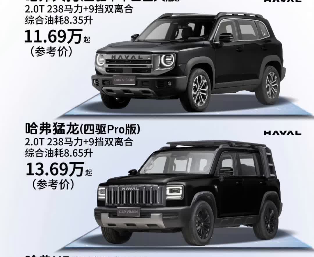 哈弗方盒子，谁更值得买？·哈弗大狗(四驱中华田园犬版)，2.0T238马力