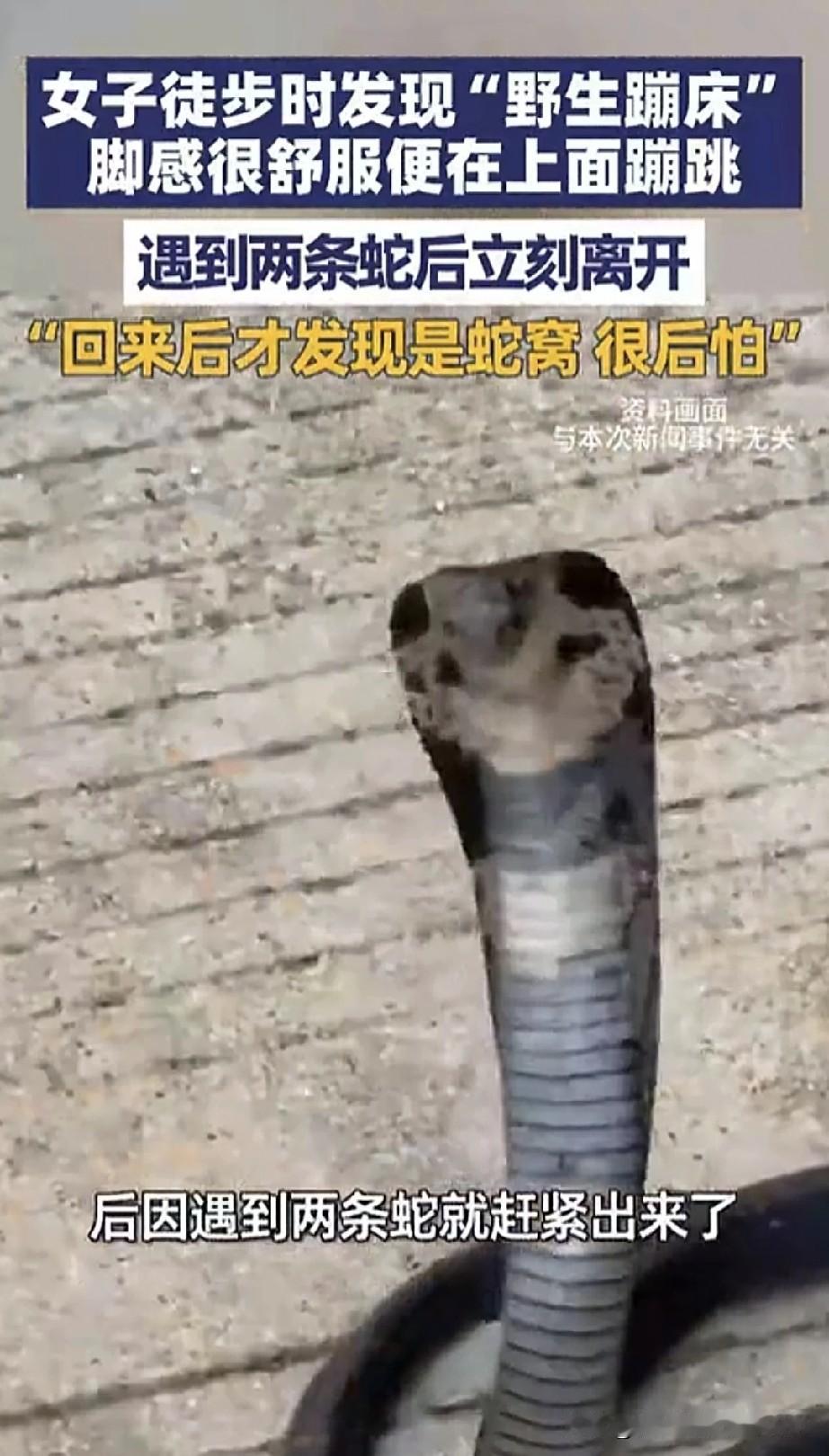 江西有一女子徒步时,意外发现一处野生蹦床。她走上去,感觉脚感十分舒适,便蹦跳了一