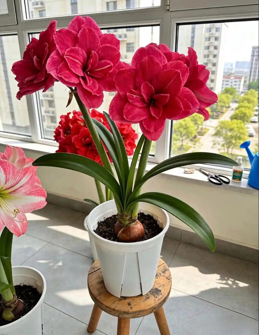 丈夫出轨了，我劝他办假离婚净身出户，试试小三是不是图钱，他盯着我看了半天，手指在