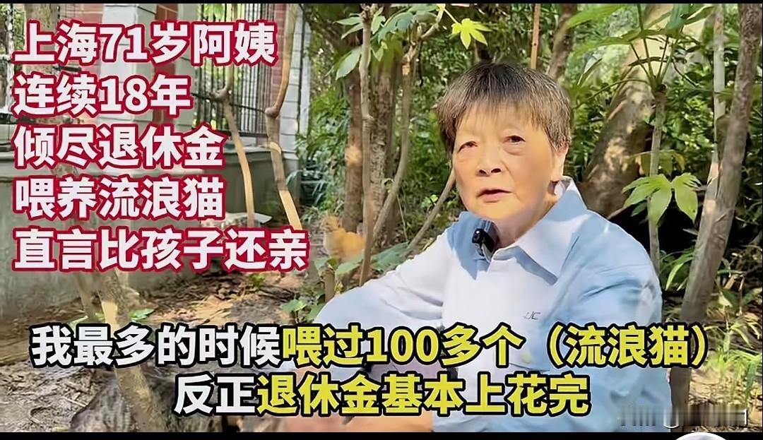这个社会还是好人多，善良爱猫的人多，这个上海阿姨，退休都这么多年了，一直坚持喂猫