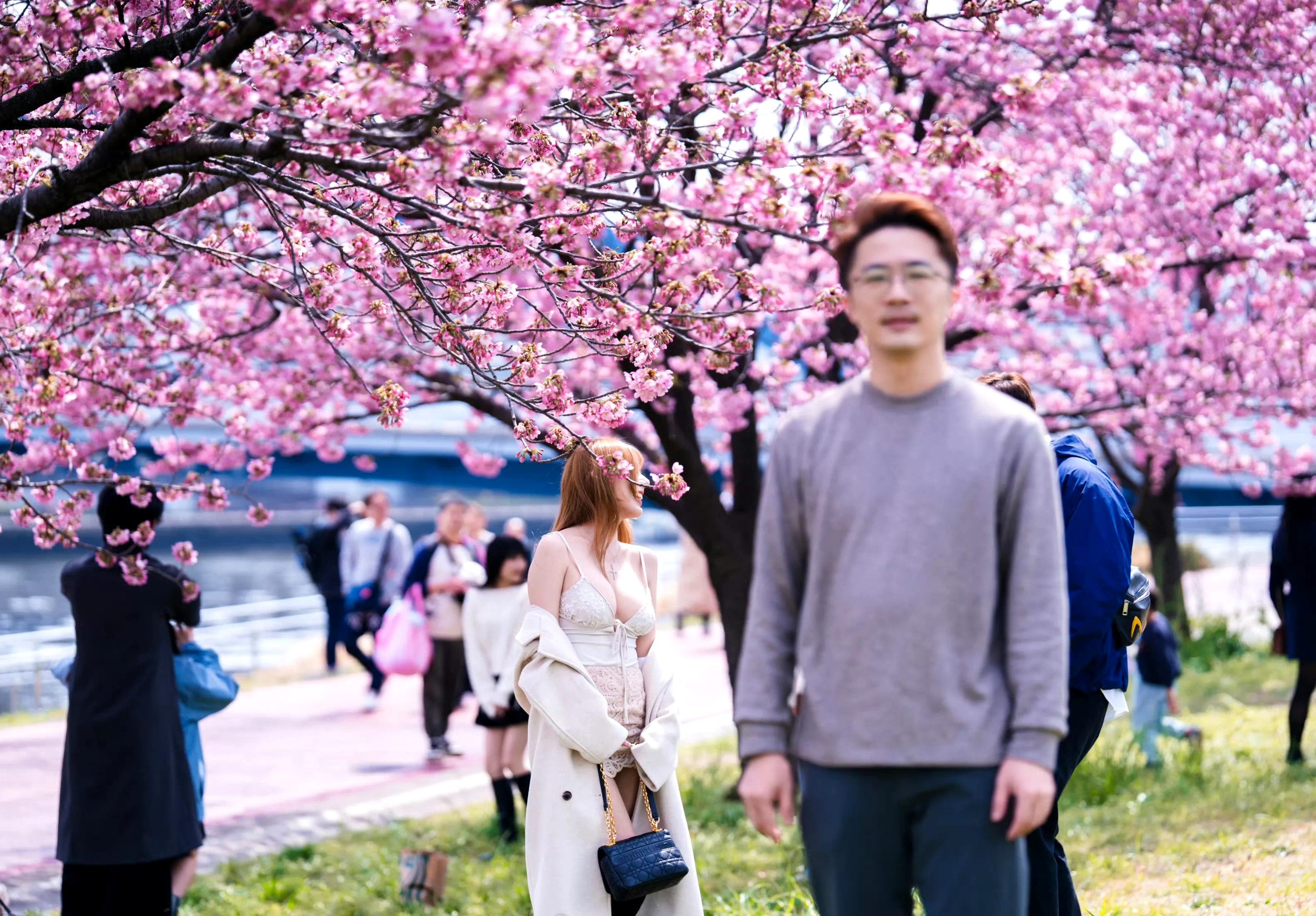 索尼相机好，很会抓重点！