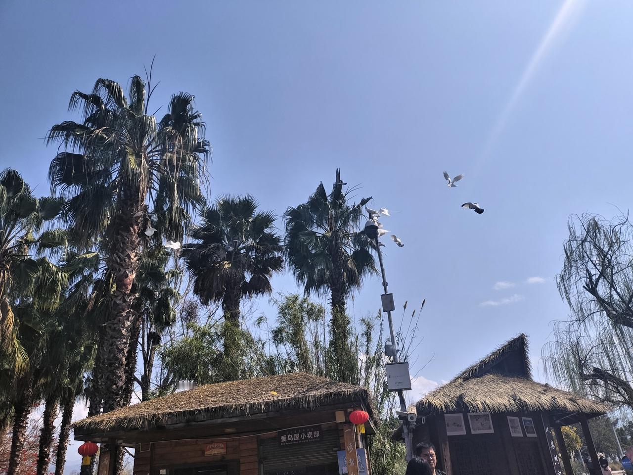 今天都是初七了，我还没给孩子们压岁钱呢。刚才我拿出4000元，给了孩子们。​这