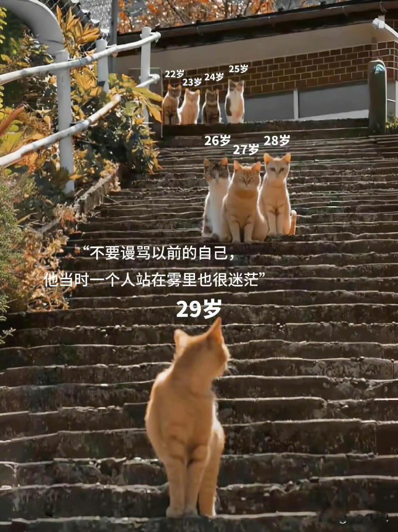 不要谩骂以前的自己，他当时一个人站在雾里也很迷茫。​​​此刻的清醒，不该