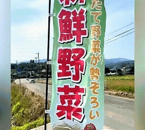 日本无人售卖？别高兴太早，有监控也白搭！啥？日本农村无人