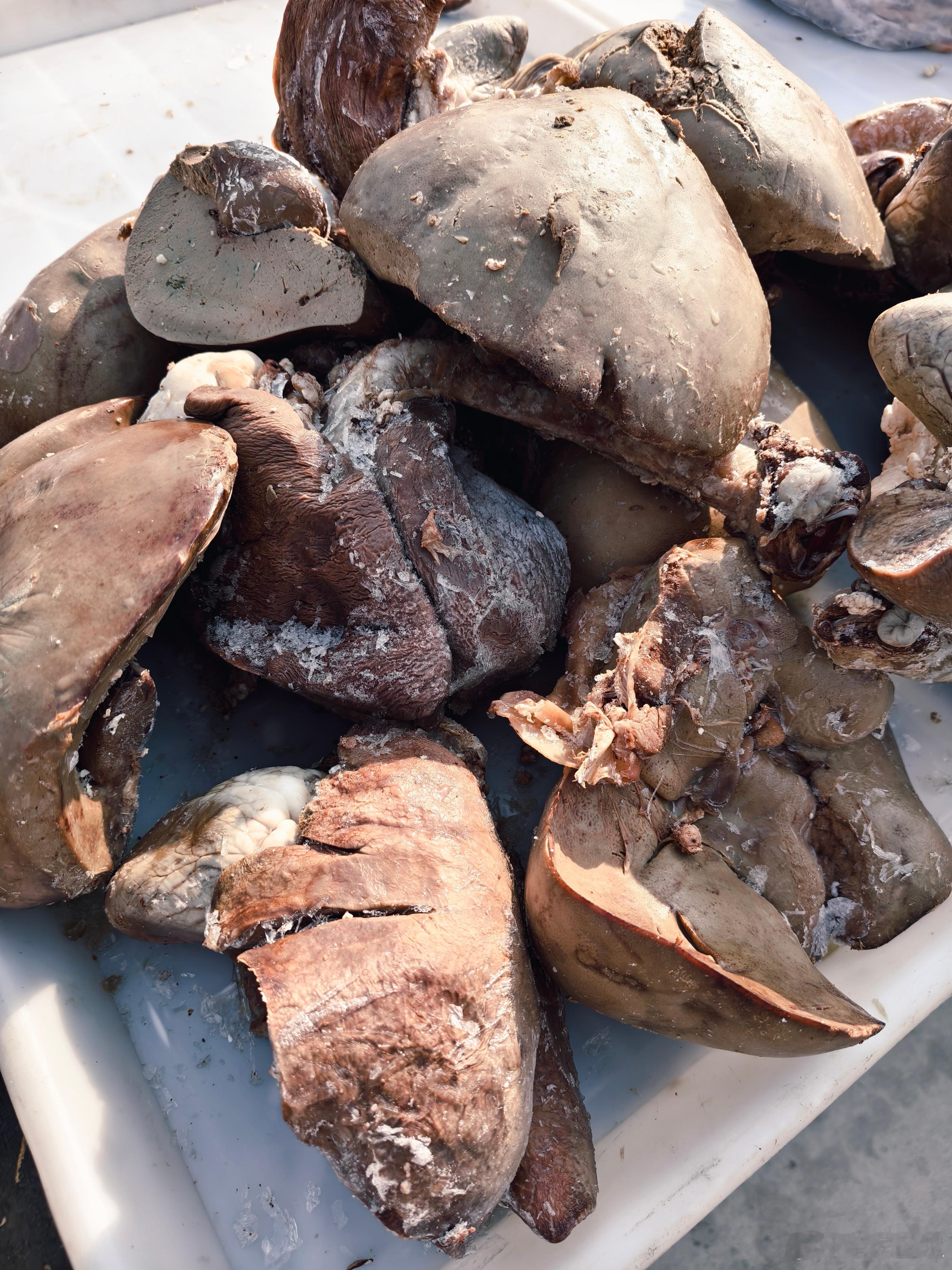 想吃土特产大集上有啊尤其是靠近山那边的大集上出来赶集看到好多山货儿各种类的苹果和