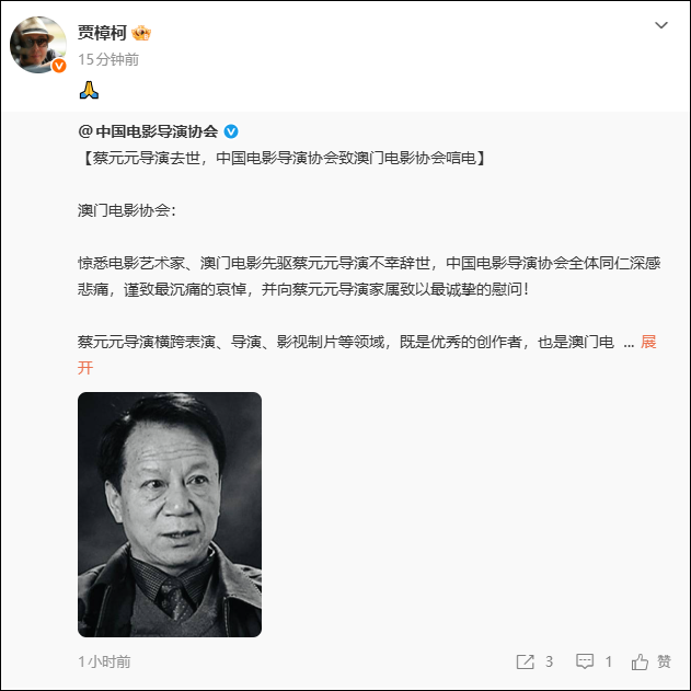 《鸡毛信》海娃扮演者蔡元元去世