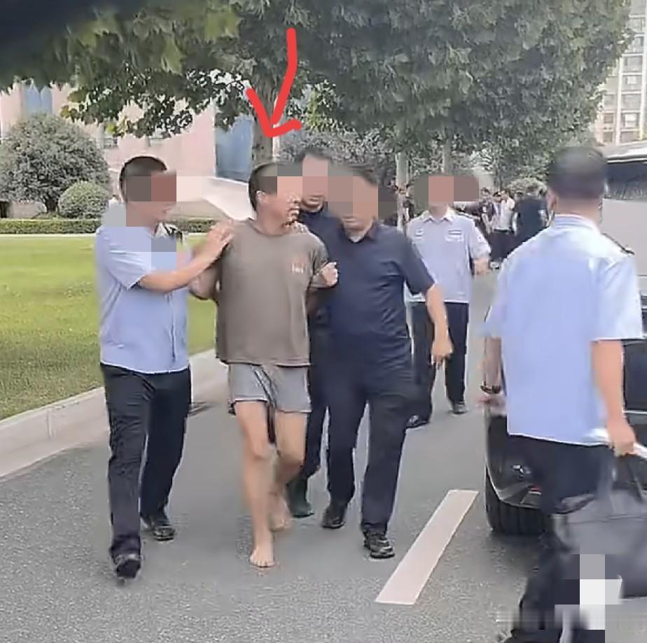 大家猜的八九不离十！西平县潜逃的夏某，还是在玉米地里被抓了，这个夏某是真能忍