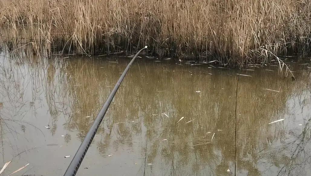 公务员上岸前夜，他悄悄把钓到的鱼全倒回河里那条鲤鱼甩尾时溅起的水花，比录取
