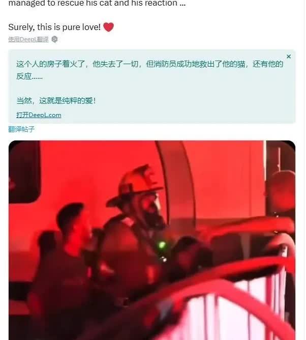 加州的熊熊大火已经将杰克家包围了。杰克抱着一只猫站在房顶大声呼救。幸运的