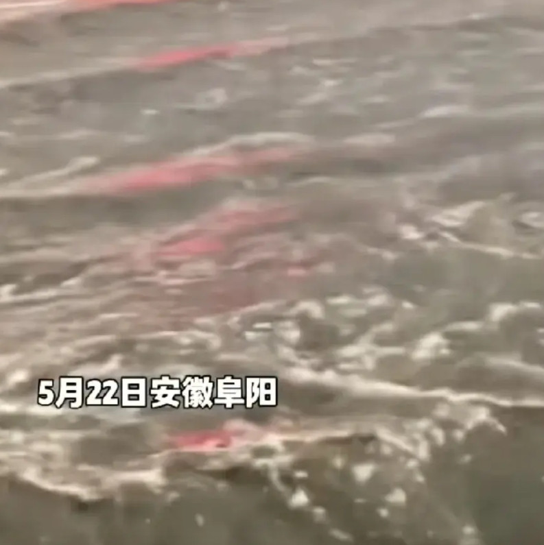 天佑安徽，阜阳创下50年最大降雨记录，但是没啥大事了5月22号晚上，安徽阜阳降