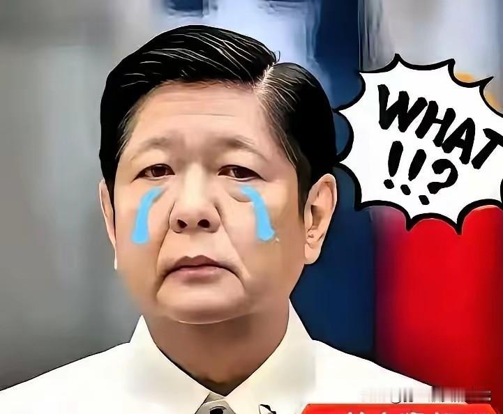 就在刚刚菲律宾正式宣布11月11日，菲律宾国家减灾管理委员会最新通报，台