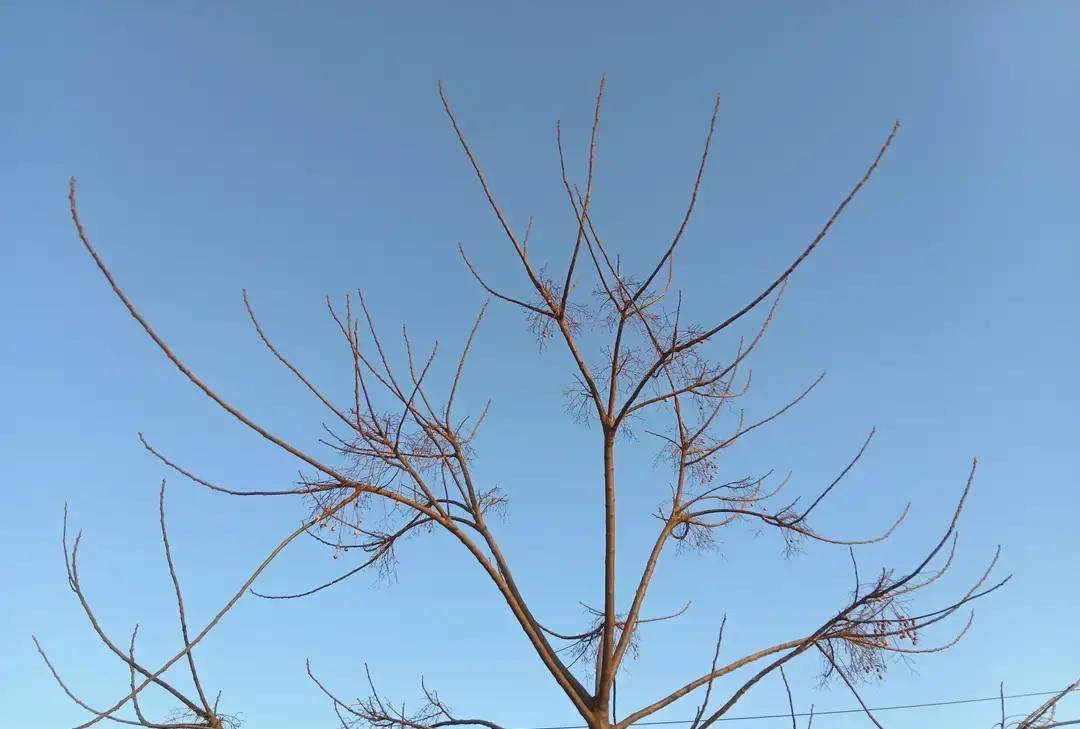 以前总觉得教书得掏心掏肺，嗓子喊到冒烟才算尽责。临近退休这几年，我突然想通了