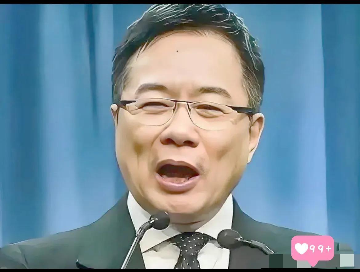 陈舒怡这几晚怕是得睁着眼到天亮了。想当年多威风，把蔡正元花自家钱这事儿，硬生