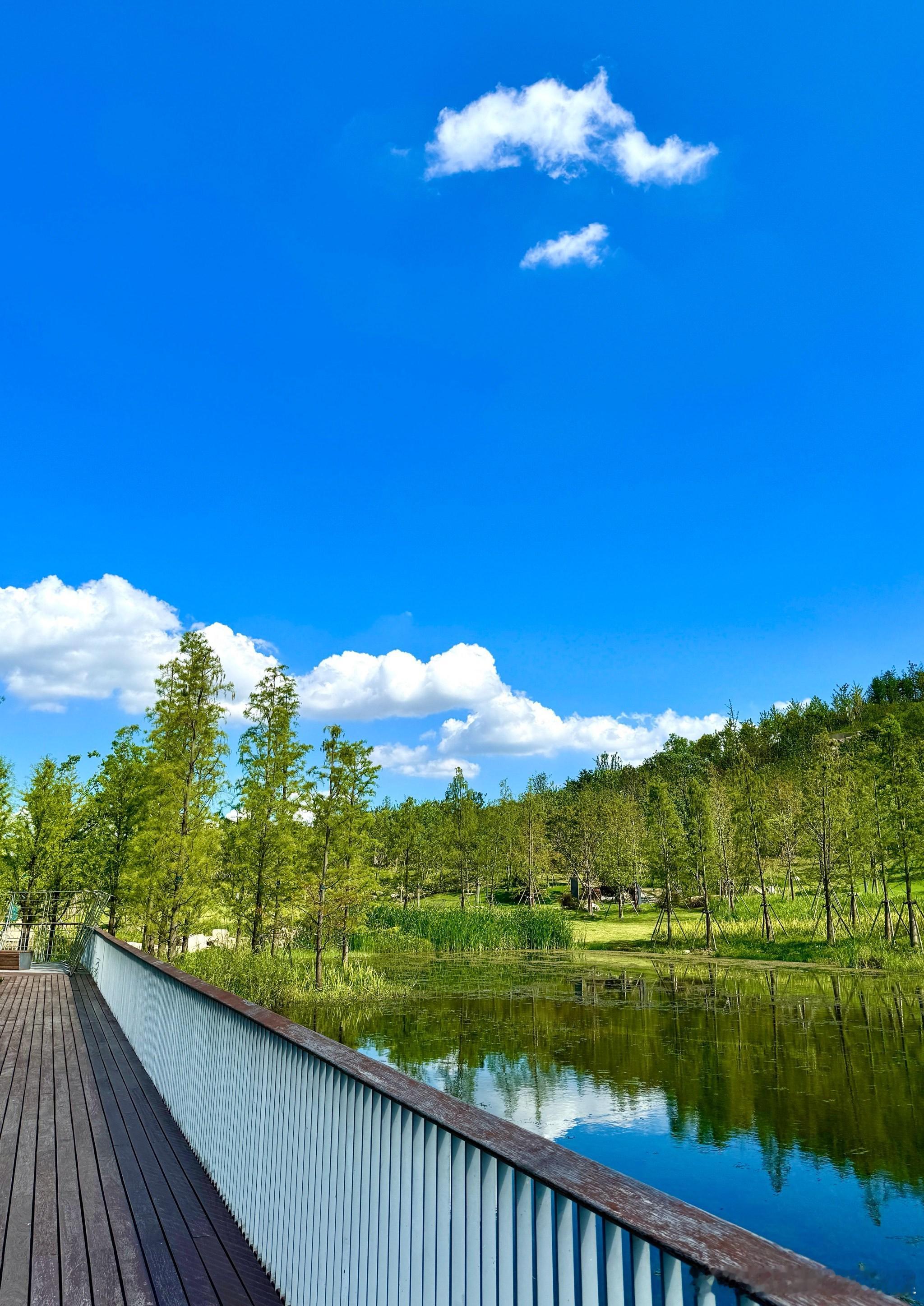 属虎人2026年农历2月：谨防口舌，退让避灾运势总览：口舌是非，隐患暗藏20