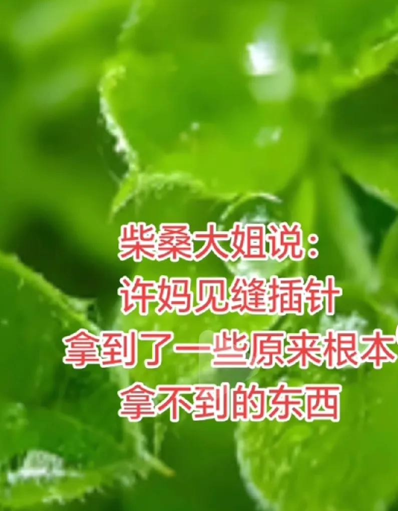 好一个见缝插针！柴桑大姐在直播中带来振奋人心的消息：大药房的领导换人了！