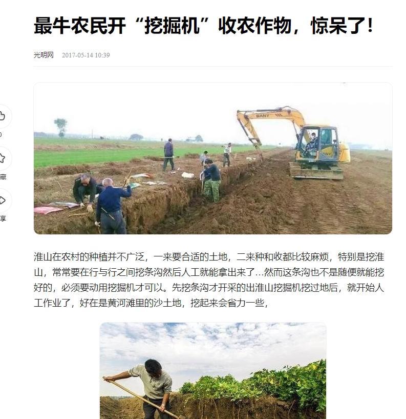 这可能是唯一用挖掘机采摘的蔬菜！在中国农业的发展历程中，山药的种植一直是一项极