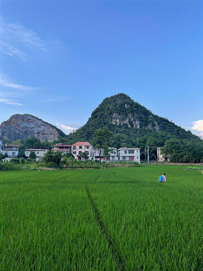 “乡村的田野风景平淡治愈且耐看”🏞️