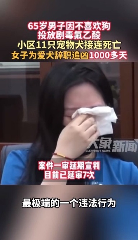 太执着了！北京一名女子因宠物狗被毒死，辞职寻找凶手！