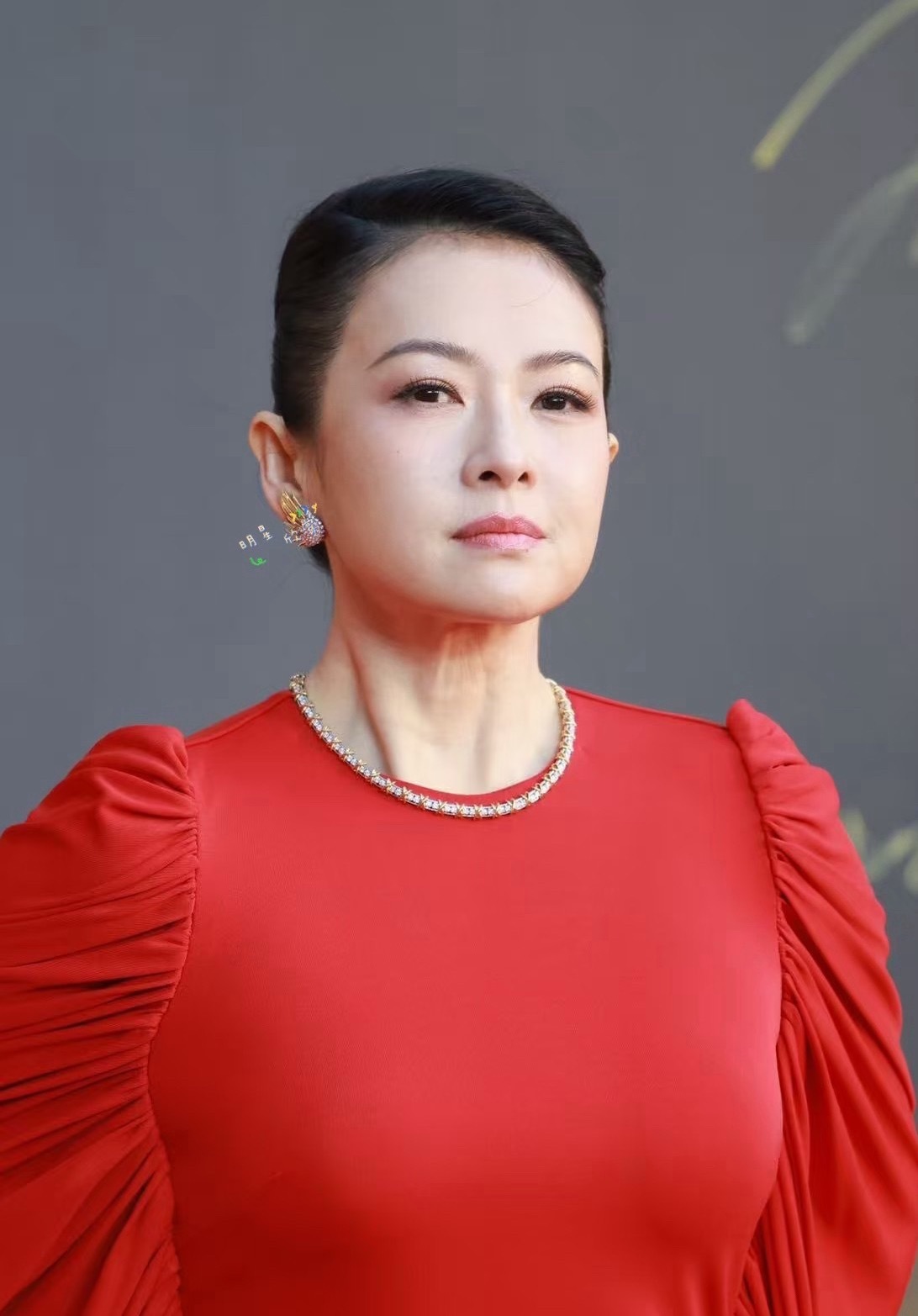 我姨戛纳生图还是这样的，短短一年多就断崖式衰老了…骨相脸真的不能乱填章子怡脸咋了