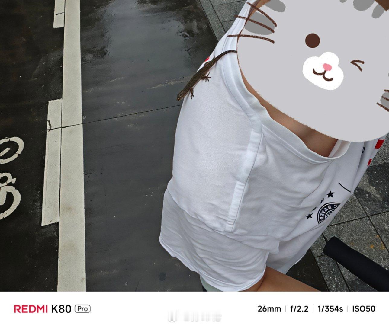 遇事不慌，先掏出手机拍照发个朋友圈[捂脸哭]天上飞来一只壁虎直接飞我脸上[笑着哭]有