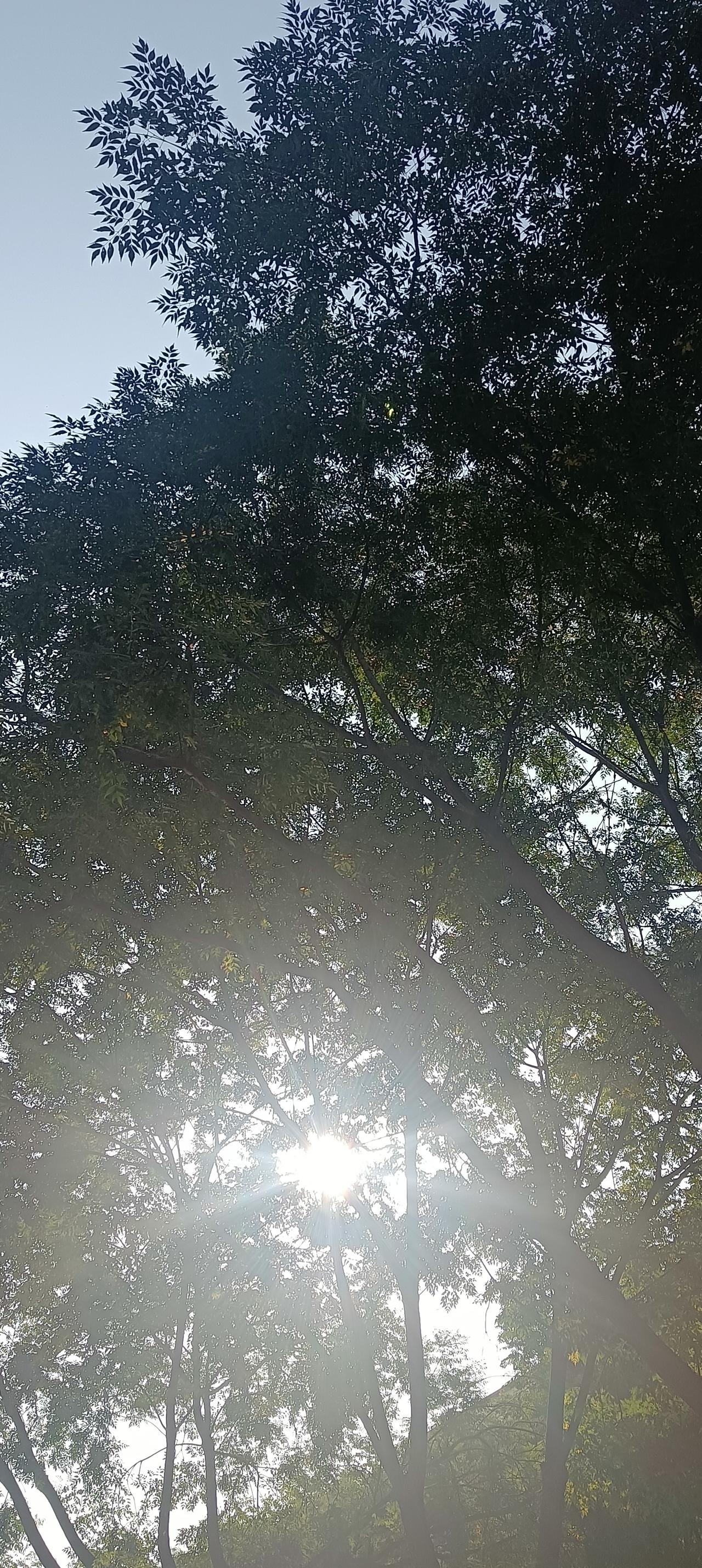 千万别活在别人的嘴里：1、这世间很多都是假的，唯有自己吃饱穿暖才是真的。别在乎他