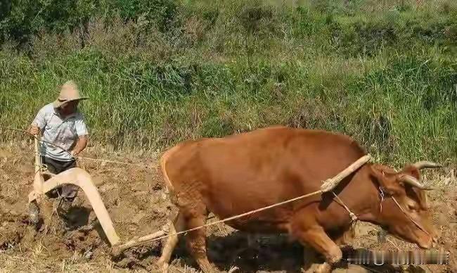 山东方言，头(一声）箍（轻声）