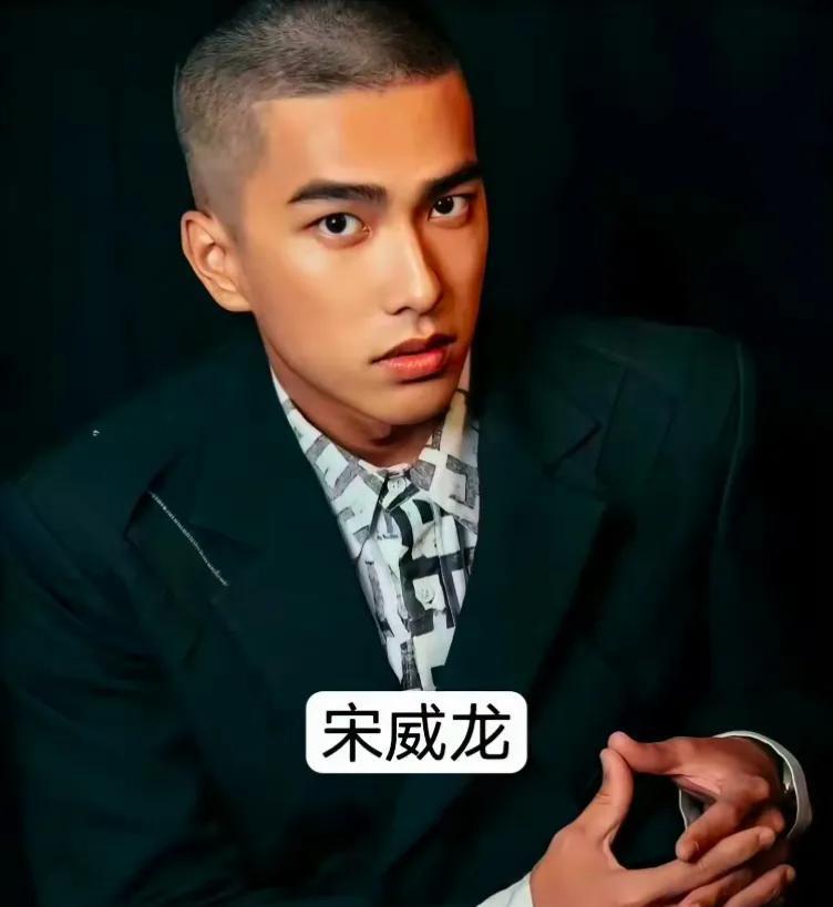 宋威龙寸头造型：颜值与气质的双重绽放家人们，最近刷到宋威龙的寸头造型，真的被惊