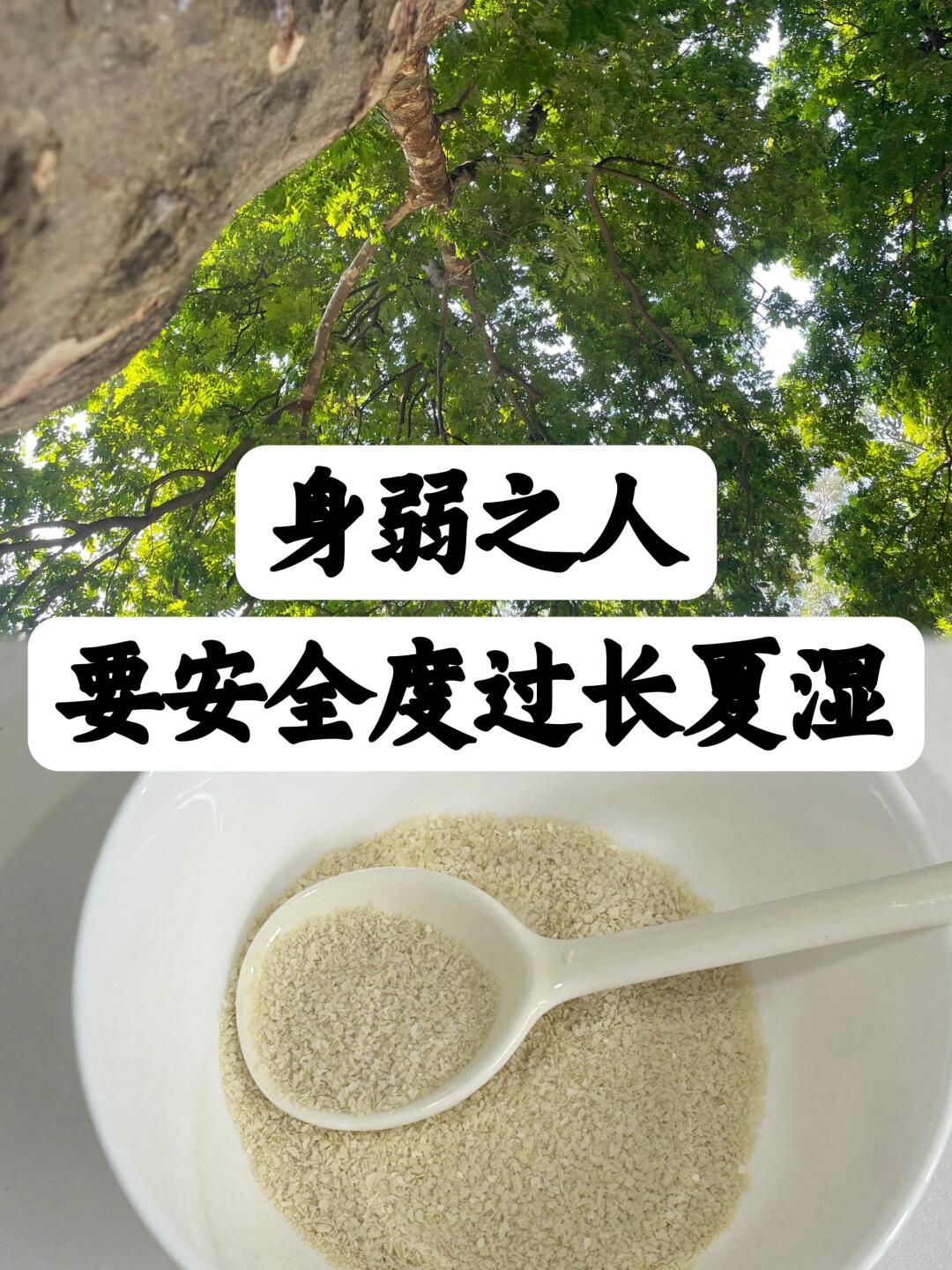 长夏|湿热交蒸，是脾胃消耗得最厉害的时节
