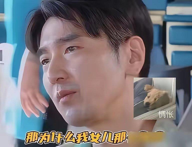 赵又廷女儿像自己，他很伤感，说为什么不像圆圆这就体现他真的很爱高圆圆，他真的是有点可爱​