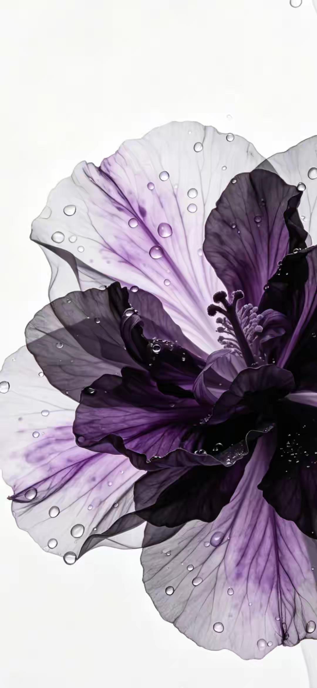 手机壁纸～紫韵漫开，半透花瓣如薄纱轻展，水珠凝于脉络，晕开一场朦胧又深邃的浪漫，