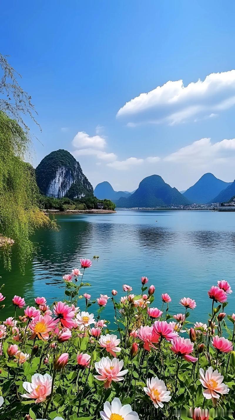 小运播报：2026年1月14日，星期三，农历十一月廿六(乙巳年己丑月戊子日)，