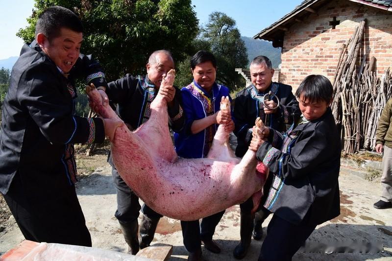 给呆呆送猪的“东哥”也要办刨猪汤宴最近听说给呆呆送猪的“东哥”也要办刨猪汤宴了