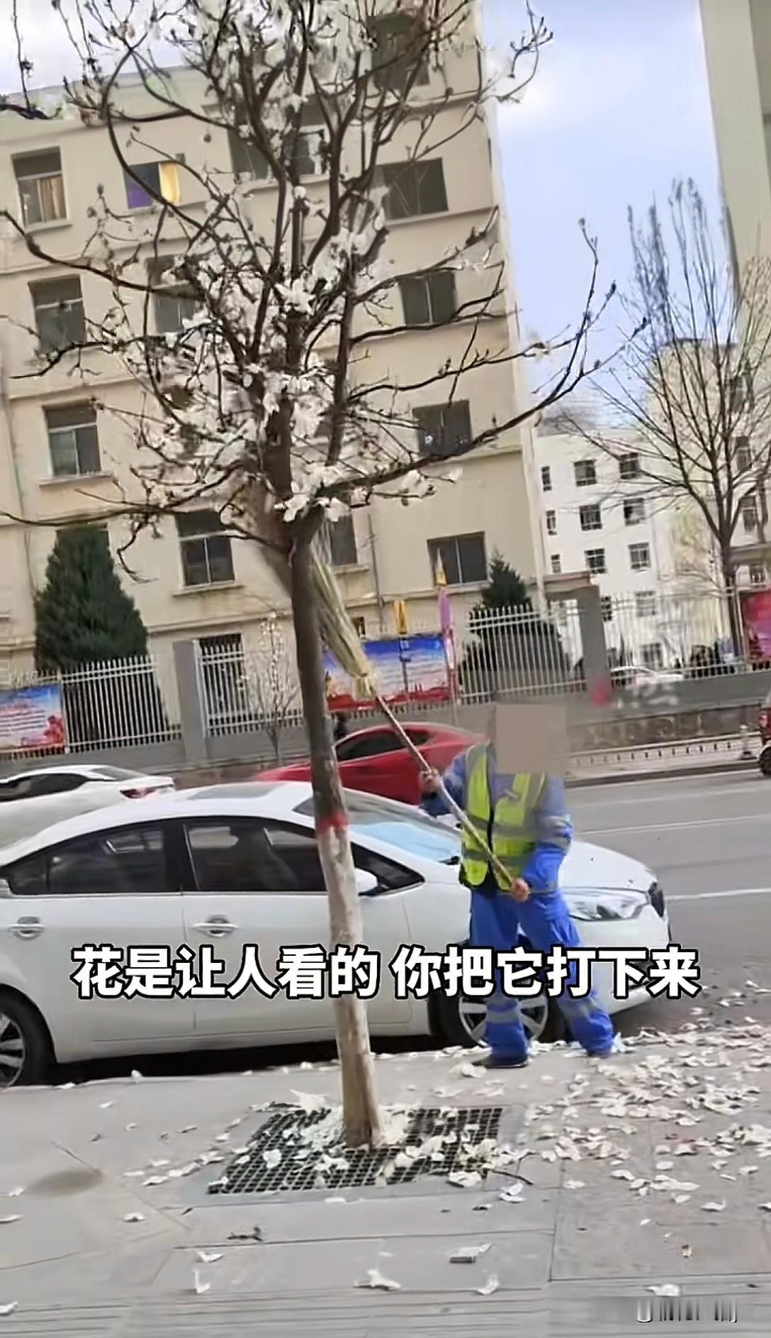 首先为西安城管点赞！有网友发现身着环卫马甲的人用长杆在马路上打落花瓣。