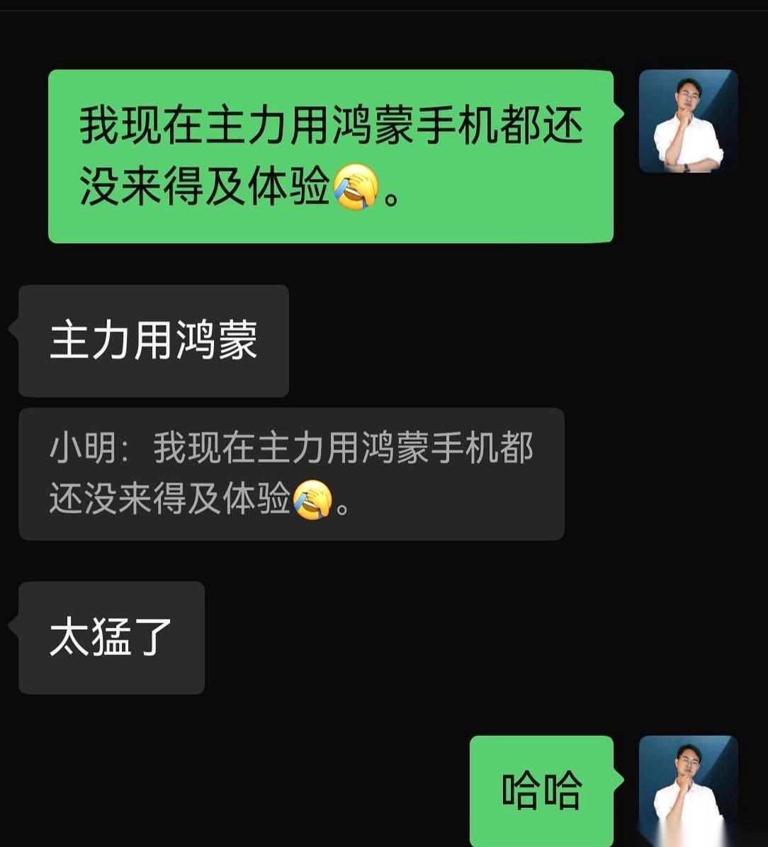 前两天被同行笑话，说我居然拿鸿蒙当主力机。那股子不舒服的劲儿，今天又上来了。