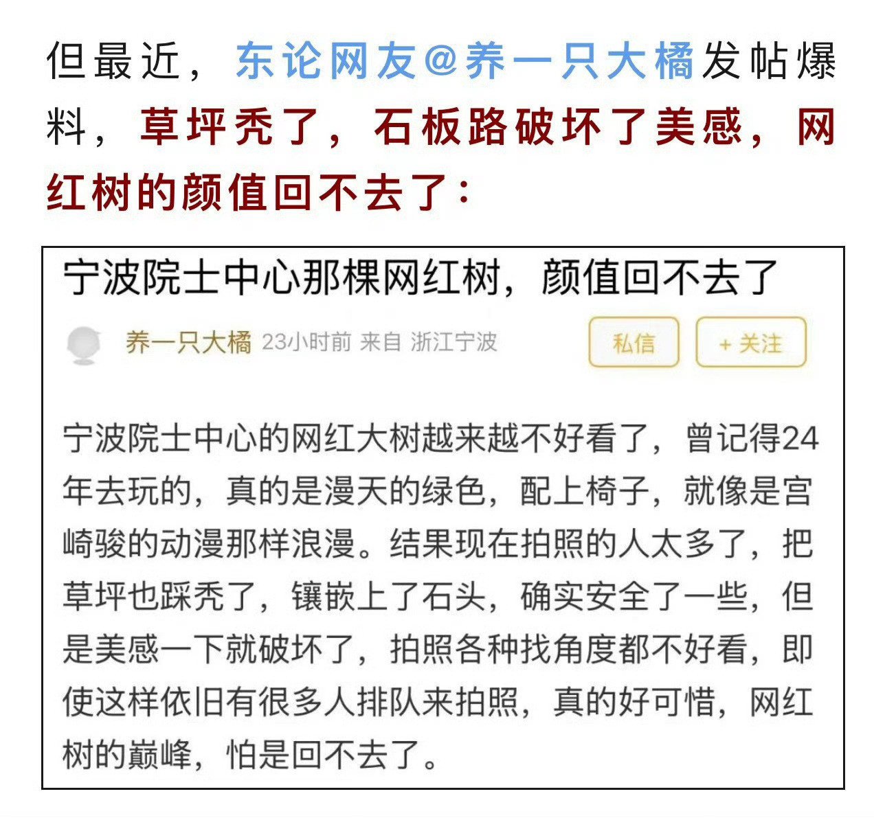 宁波东钱湖网红树草坪枯了石板破坏美感宁波这个网红打卡点被吐槽“变丑了”！曾是大