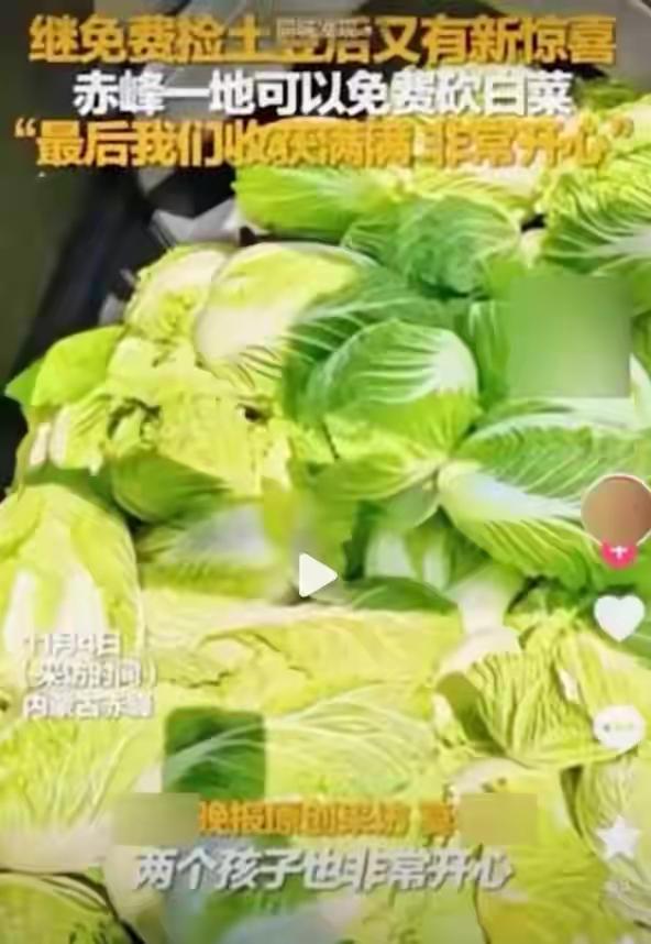 一张嘴，能杀人；一条假消息，能毁掉百亩菜地！刚看到央视网一条新闻，有人散布谣言