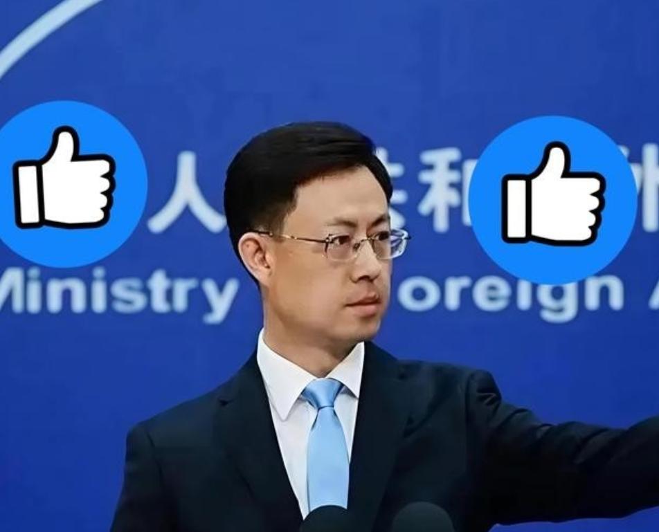 外交部这次的通告，看得人背脊发凉。“全球人民的公敌”。这八个字，分量重得惊人。以