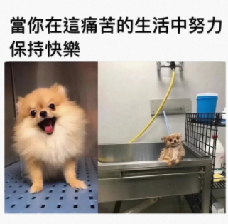 我不吃不喝能睡一天