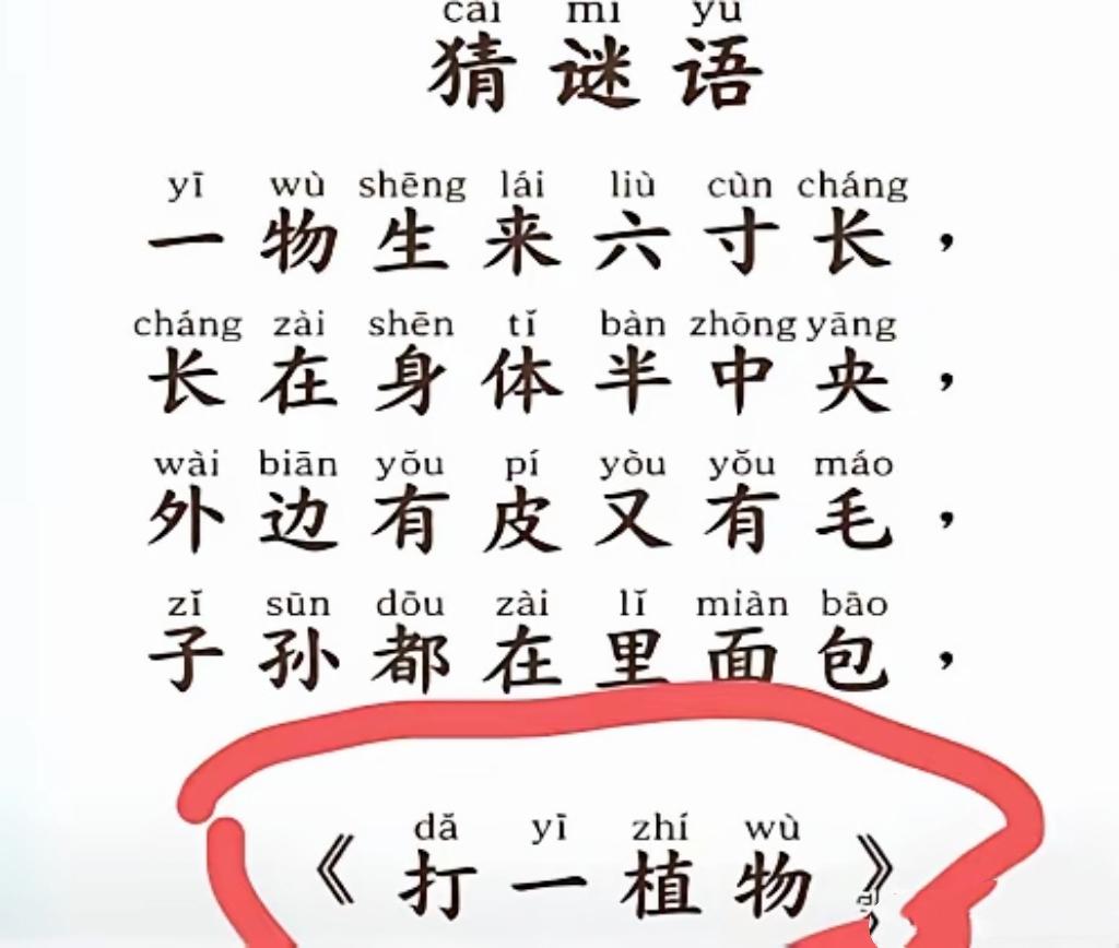看完谜面瞬间想歪！谜底竟是日常植物，猜对的人脑洞太厉害了猜谜语趣味谜题