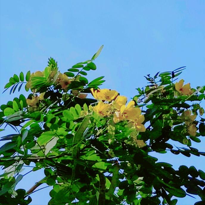 12月22日-23日  中央企业负责人会议对央企的新要求：3个更好服务 一