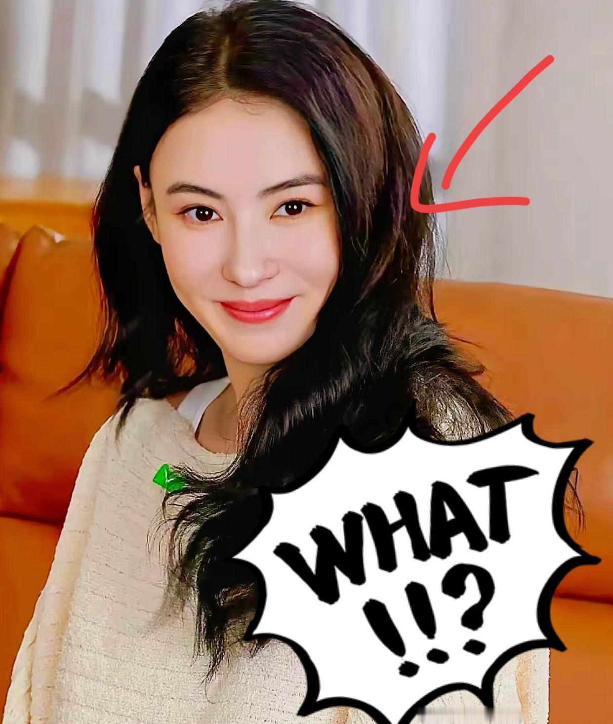张柏芝为什么不再婚？不是没人馋她身子，也不是还惦记谢霆锋，而是因为她自己已经
