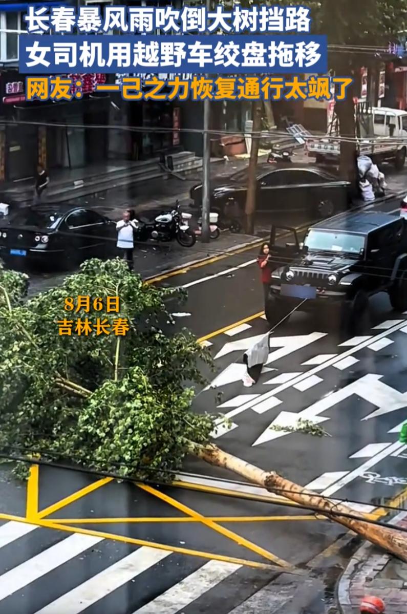 这个就叫专业！吉林长春，一场强降雨过境，路边一棵大树被吹断，笔直横堵在城市主干道