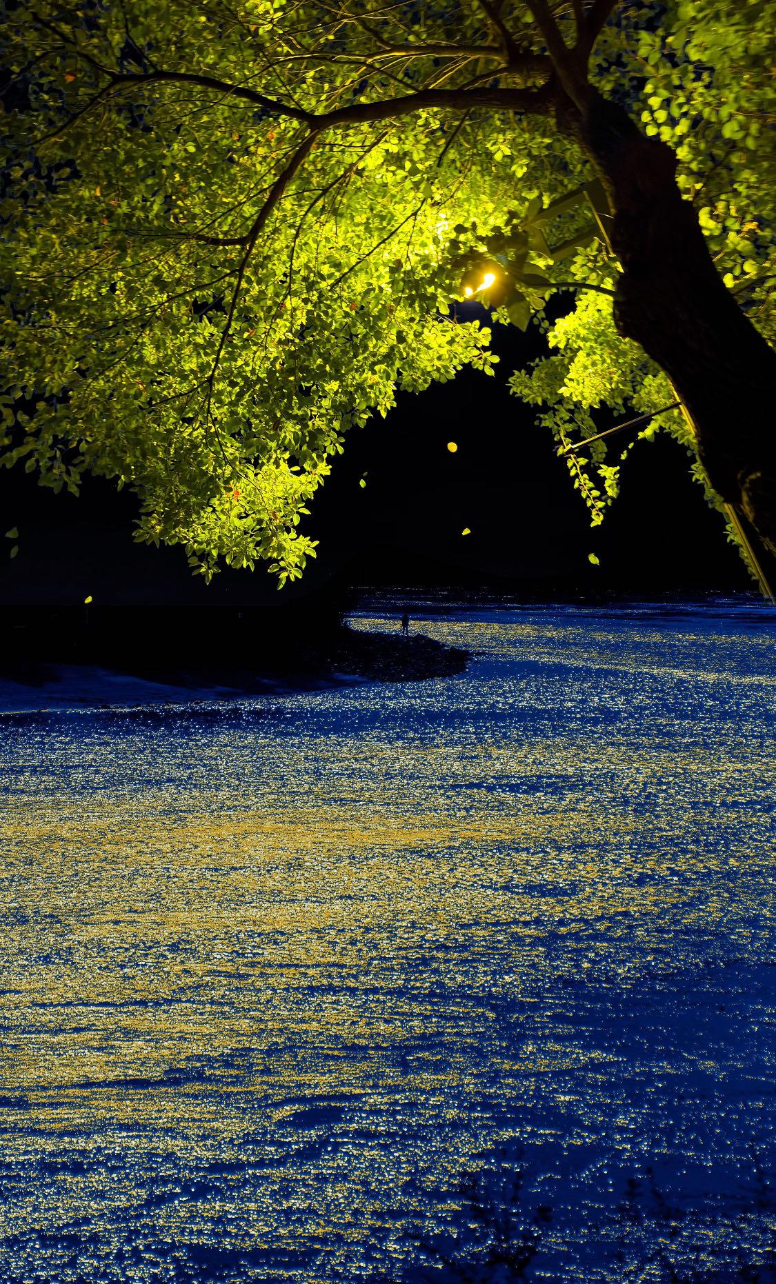 一定要大量读书！我发现长期读书的人都有一个共性：很喜欢黑塞的一句话: