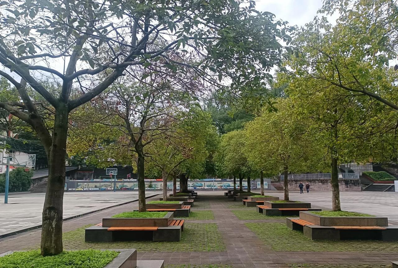 我在老家农村很可能已经沦为忘恩负义、六亲不认的人了近些年来我老家亲戚、邻