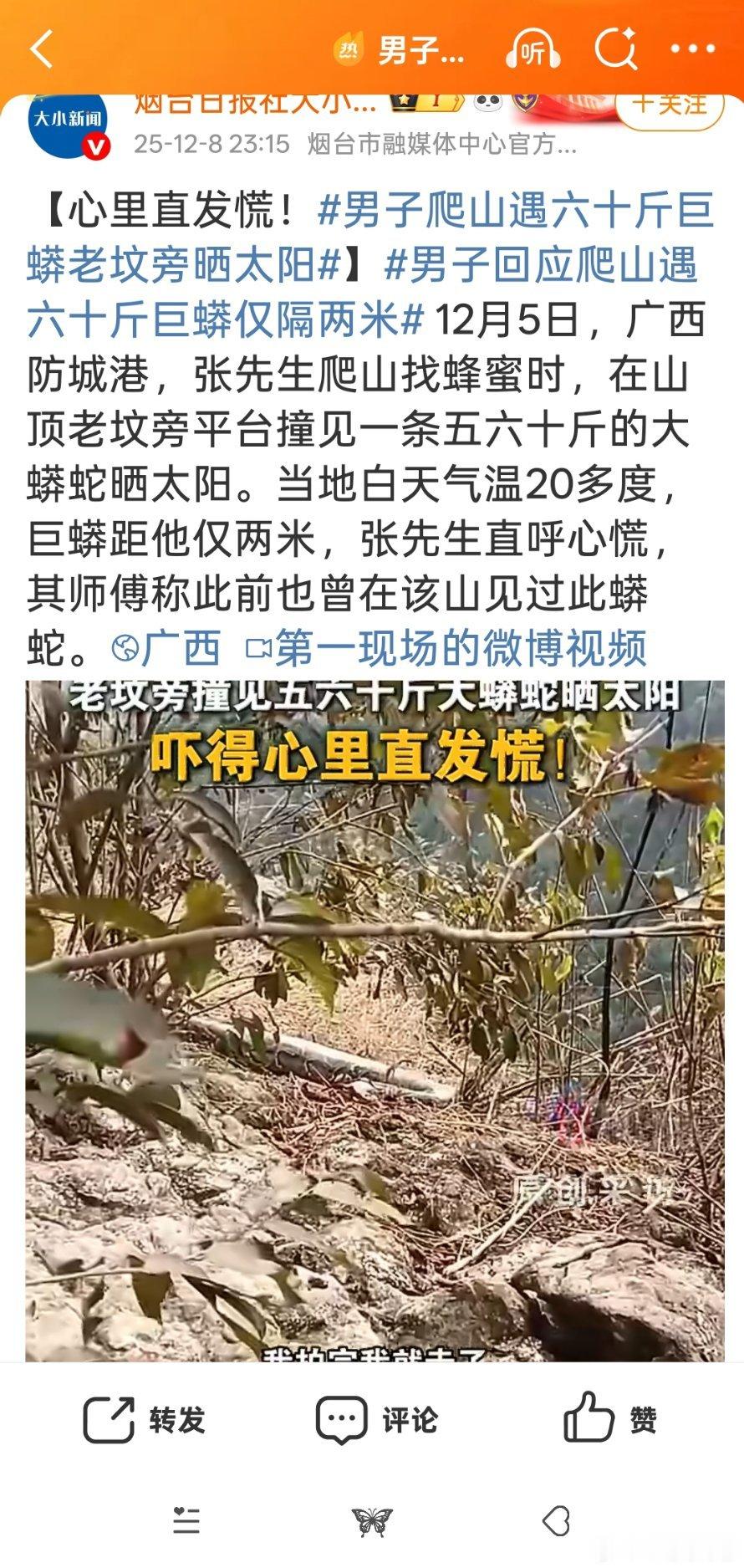 男子回应爬山遇六十斤巨蟒仅隔两米老坟？巨蛇？小说桥段啊！张先生回家先打扫卫生再准