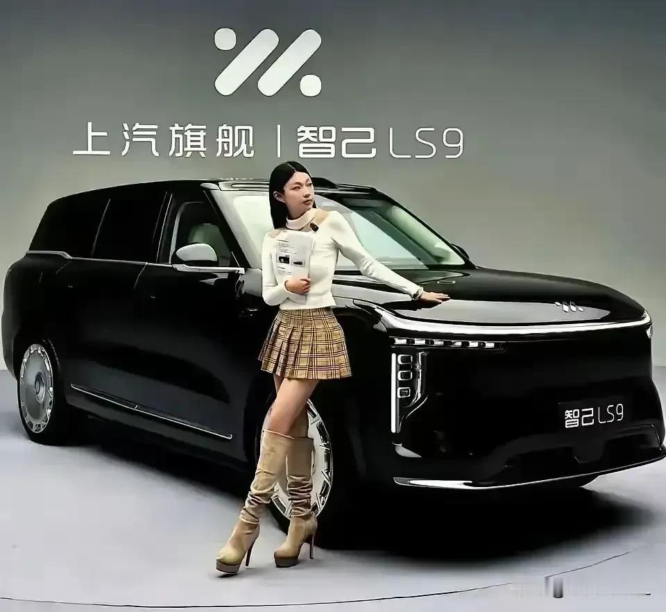 2026买车推荐：1、要面子一一买特斯拉2、要舒服一一买理想3、要科技感一